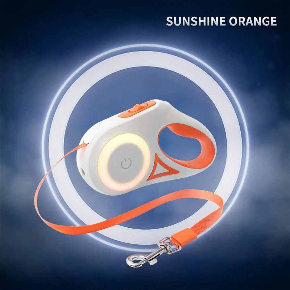 Safe Glow Dog Lead - ANIMOURPETS