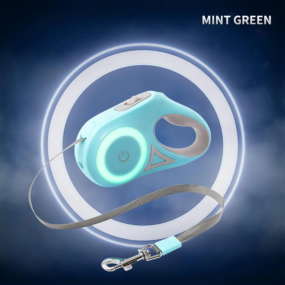 Safe Glow Dog Lead - ANIMOURPETS