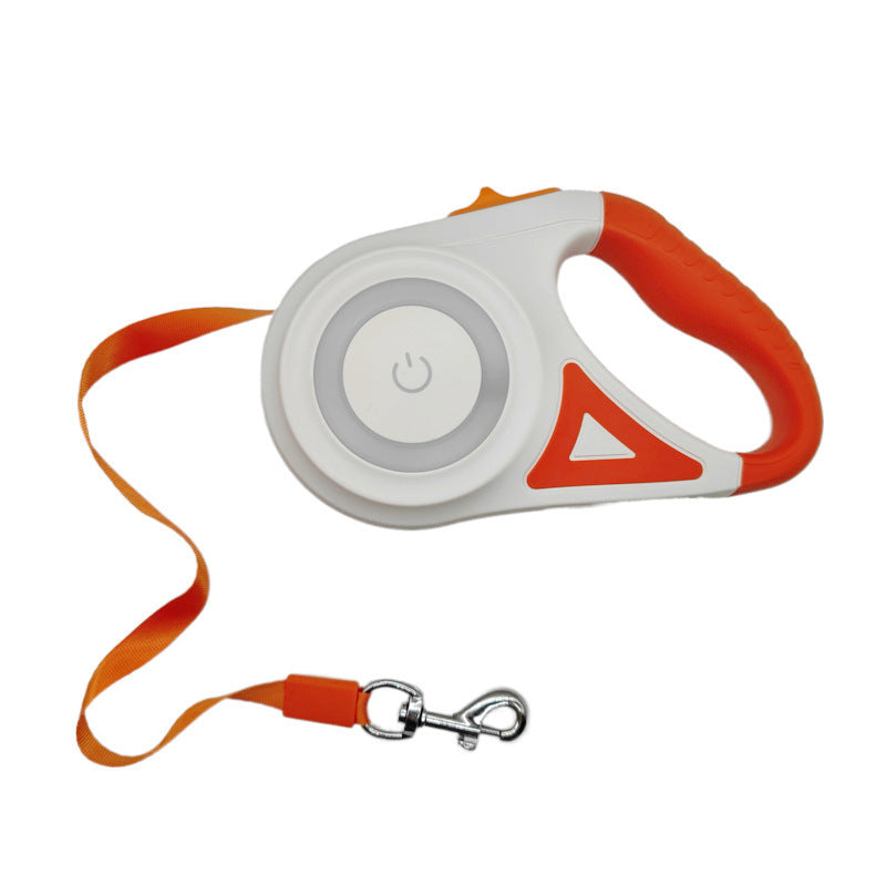 Safe Glow Dog Lead - ANIMOURPETS